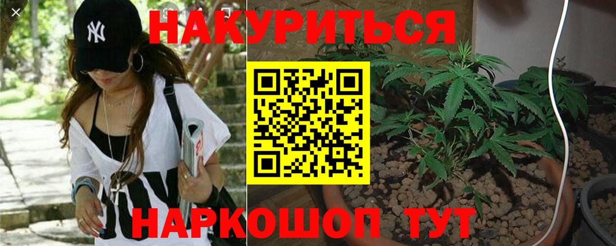 Шишки марихуана план Нягань